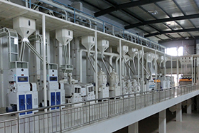 Rice Mill Project